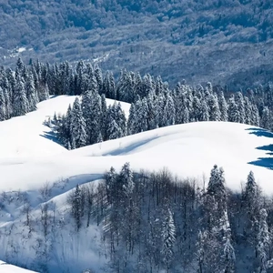 亚洲国产911在线观看
