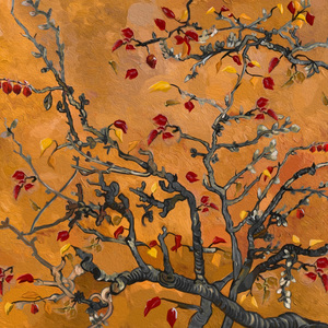 亚洲国产911在线观看
