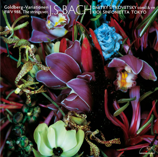 亚洲国产911在线观看
